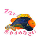 楽しい魚（個別スタンプ：16）