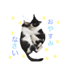 Sabo＆Louis＆milkスタンプ（個別スタンプ：4）
