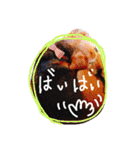 ビーグルきゃりーとお友達3（個別スタンプ：7）