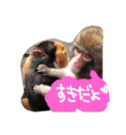 ビーグルきゃりーとお友達3（個別スタンプ：13）