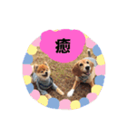 ビーグルきゃりーとお友達3（個別スタンプ：19）
