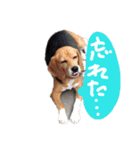 ビーグルきゃりーとお友達3（個別スタンプ：22）