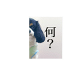 いぬいぬいぬいぬいぬいぬv（個別スタンプ：8）
