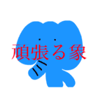 雑だ象（個別スタンプ：1）