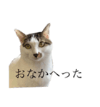 ちろりんの日常（個別スタンプ：1）