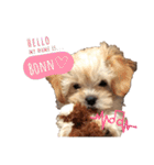 ぼんちゃん♡（個別スタンプ：1）
