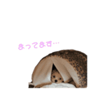 ぼんちゃん♡（個別スタンプ：10）