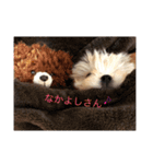 ぼんちゃん♡（個別スタンプ：14）
