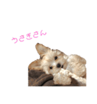 ぼんちゃん♡（個別スタンプ：17）