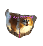 マック＆ロッテおかしな二人組（個別スタンプ：2）
