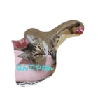 マック＆ロッテおかしな二人組（個別スタンプ：4）