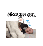 はーちゃんのつかえるスタンプ（個別スタンプ：17）