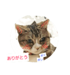 桃日々  2（個別スタンプ：2）