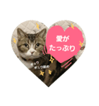 桃日々  2（個別スタンプ：3）
