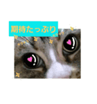 桃日々  2（個別スタンプ：4）