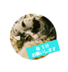 桃日々  2（個別スタンプ：7）