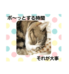 桃日々  2（個別スタンプ：8）