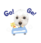 coco＆me（個別スタンプ：1）