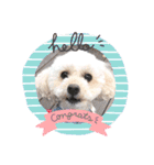 coco＆me（個別スタンプ：3）