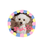 coco＆me（個別スタンプ：5）