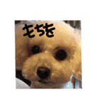 coco＆me（個別スタンプ：6）