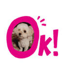 coco＆me（個別スタンプ：14）