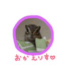 シマリスとモモンガ（個別スタンプ：3）