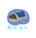 シマリスとモモンガ（個別スタンプ：15）