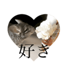ザックとポテ（個別スタンプ：6）