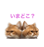 おちびといっしょ（個別スタンプ：2）