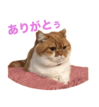おちびといっしょ（個別スタンプ：5）