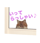 おちびといっしょ（個別スタンプ：6）