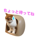 おちびといっしょ（個別スタンプ：7）