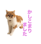 おちびといっしょ（個別スタンプ：10）