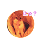 おちびといっしょ（個別スタンプ：11）
