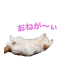 おちびといっしょ（個別スタンプ：12）
