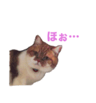 おちびといっしょ（個別スタンプ：14）