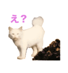 おちびといっしょ（個別スタンプ：16）