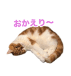 おちびといっしょ（個別スタンプ：18）