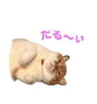 おちびといっしょ（個別スタンプ：19）