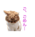 おちびといっしょ（個別スタンプ：21）