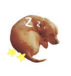 田中家のあむ（個別スタンプ：2）