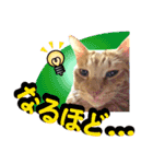 猫の手借りたい（個別スタンプ：7）