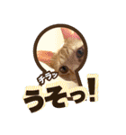 猫の手借りたい（個別スタンプ：9）