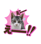 猫の手借りたい（個別スタンプ：10）