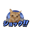 猫の手借りたい（個別スタンプ：12）