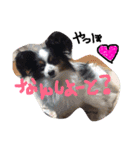 まっくくん❤（個別スタンプ：5）
