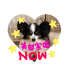 まっくくん❤（個別スタンプ：7）