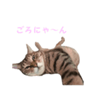 我が家のジャムとサバ1（個別スタンプ：2）