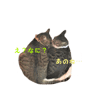 我が家のジャムとサバ1（個別スタンプ：7）